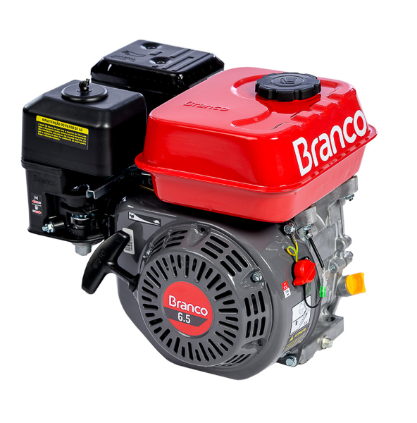 MOTOR ESTACIONÁRIO B4T 6,5 CV BRANCO