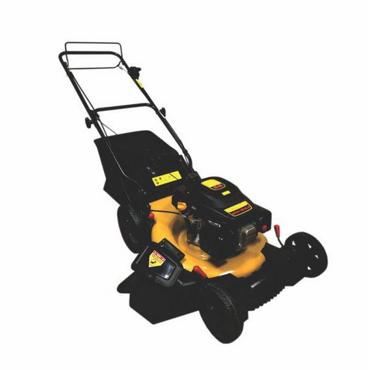 CORTADOR DE GRAMA BFGT 53SLR BUFFALO